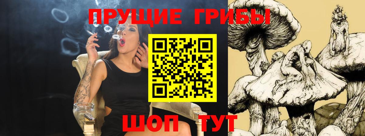 Галлюциногенные грибы Psilocybe Нижний Новгород